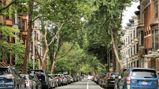 Park Slope / Prospect Park